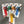 Load image into Gallery viewer, Harold Import Company Jar Pop Frosted
