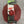 Load image into Gallery viewer, CV Lid 9" Red Rose Silicone