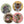 Load image into Gallery viewer, Coasters Flora & Fauna Jungle Crew