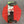 Load image into Gallery viewer, CV Lid 9" Poppy Silicone