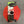 Load image into Gallery viewer, Charles Viancin Silicone 8" Lid - Poppy