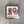 Load image into Gallery viewer, Magnolia Lane 4pc Coaster Set - OU Icon