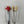Load image into Gallery viewer, R&M Tongs Mini Hands Red or Yellow