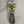 Load image into Gallery viewer, Progressive Cookie Scoop - 1T (1 Tablespoon)