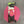 Load image into Gallery viewer, CV Lid 8" Fuschia Rose Silicone