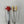 Load image into Gallery viewer, R&M Tongs Mini Hands Red or Yellow