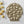 Load image into Gallery viewer, NW Seashell Bites