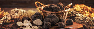 So, What Are Summer Truffles?