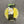 Load image into Gallery viewer, CV Lid 6&quot; Yellow Daisy Silicone
