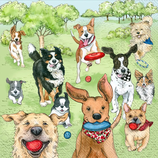 Boston International Cocktail Napkins - Dog Parks Runners