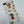 Load image into Gallery viewer, Mu Kitchen Cotton Designer Tea Towel - Shrooms
