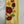 Load image into Gallery viewer, Towel Terry Poppy Yellow/red
