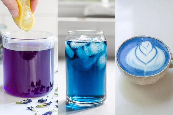 Ashby Butterfly Pea 2# Bag Loose Leaf Tea