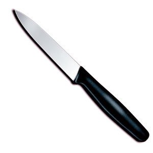 Victorinox Fibrox 4" Paring Knife