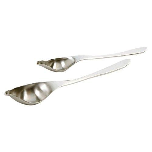 Stainless Steel Drizzle Spoons Set/2