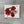 Load image into Gallery viewer, Wet-It! poppy Flower Swedish Dishcloth

